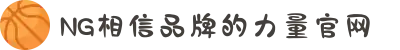 南宫NG·28(中国区)相信品牌力量有限公司